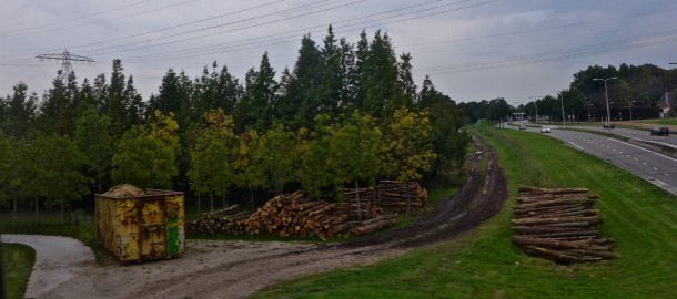 Bomen kwekerij Stuivenberg